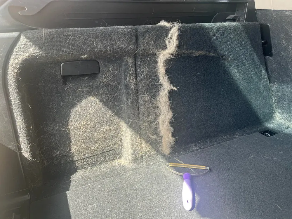 Top-Rated Car Cleaning Kits for Remove Pet Hair From Ford-150 Seats