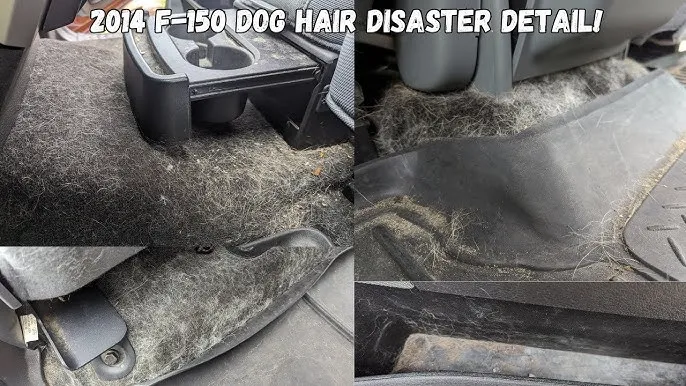 Top-Rated Car Cleaning Kits for Remove Pet Hair From Ford-150 Seats