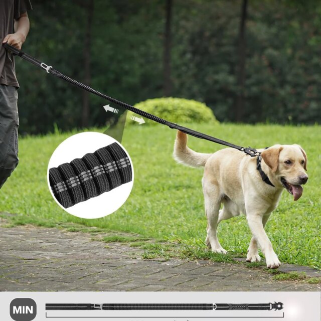 Dog Seat Belt – Locking Nylon Pet Restraint Swivel Latch!!
