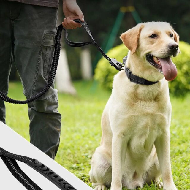 Dog Seat Belt – Locking Nylon Pet Restraint Swivel Latch!!