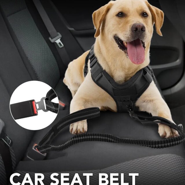 Dog Seat Belt – Locking Nylon Pet Restraint Swivel Latch!!
